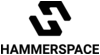 Sponsored by Hammerspace
