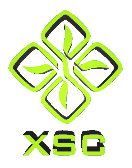 Sponsored by Fujian Xinsen Carbon Co., Ltd.